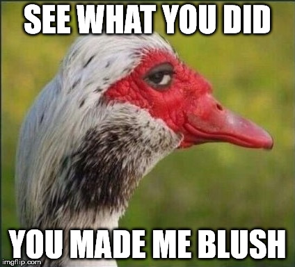 21cd3k.jpg