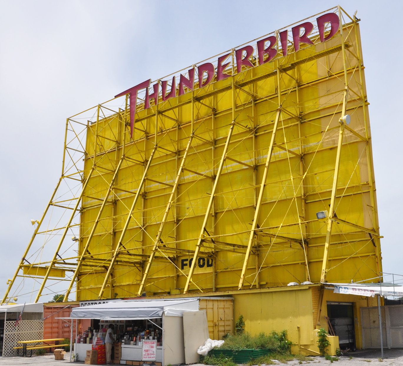 tbirddi2.jpg
