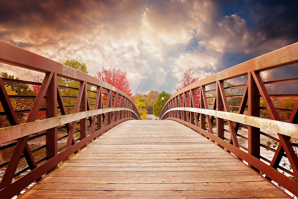 bridge-1385938_960_720.jpg