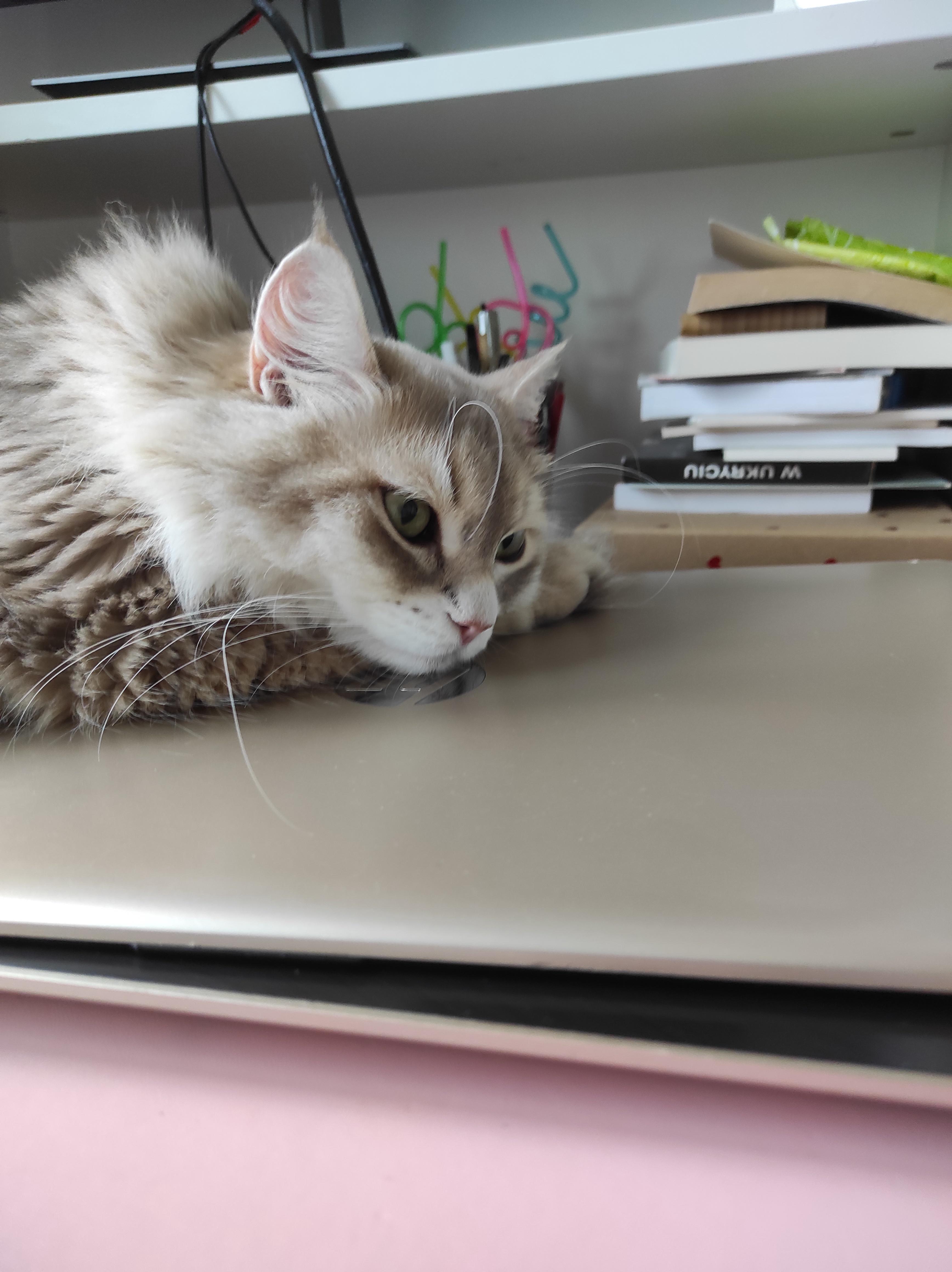 I7PG2c4.jpeg