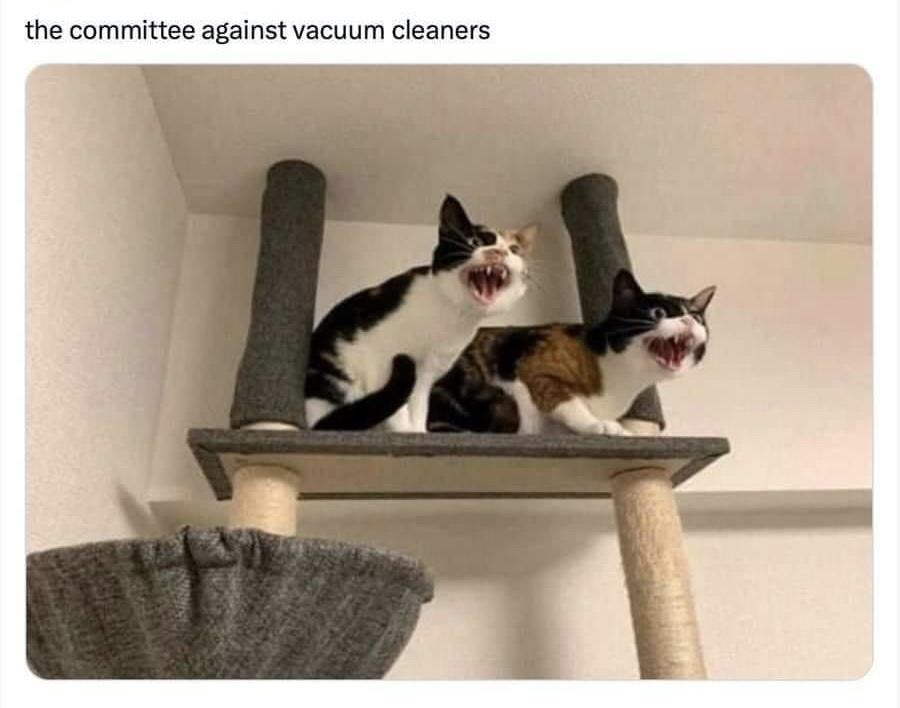 rc9ku11.jpeg