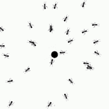 creepycrawlies-everywhere.gif