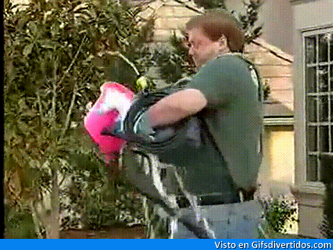 giphy.gif