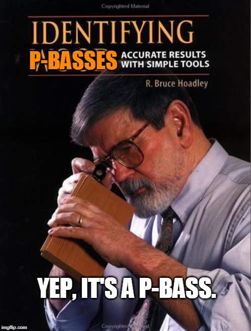 2zz40y.jpg