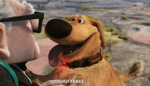 source.gif