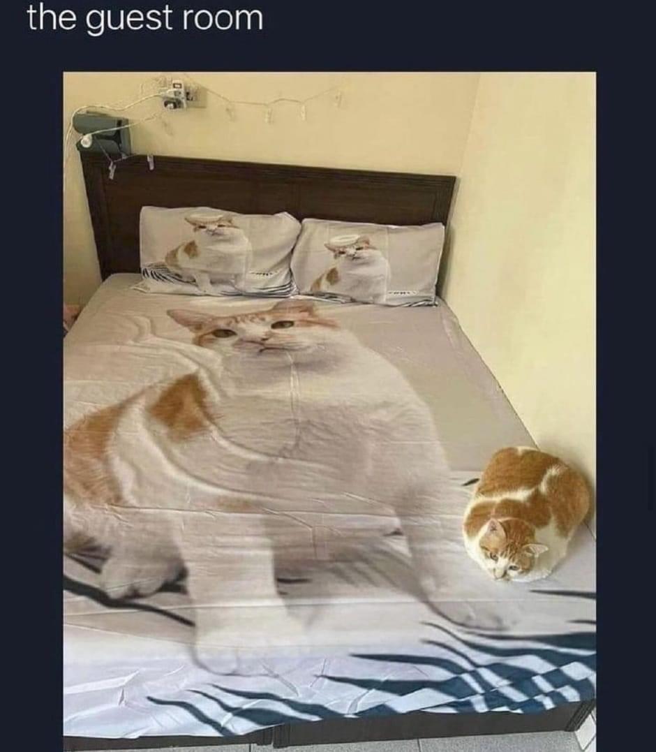 GwhnXAn.jpeg