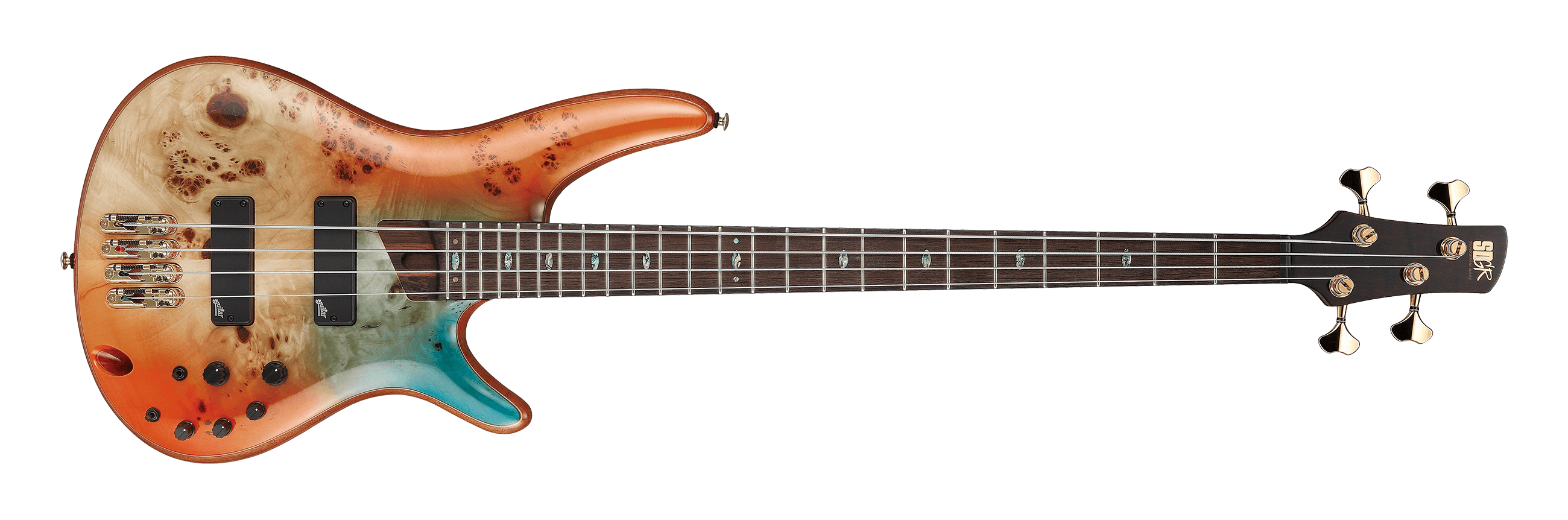 www.ibanez.com