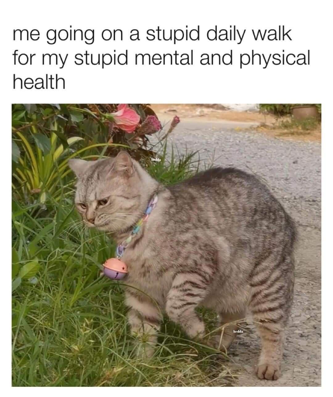 E5Z7fO3.jpeg