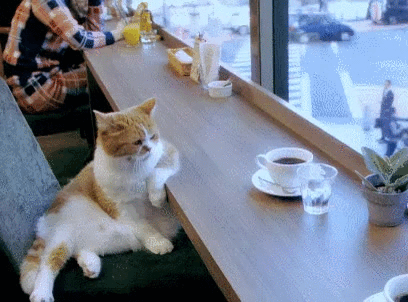 source.gif