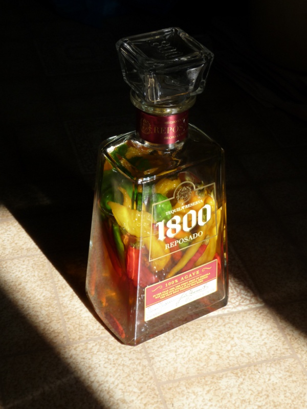 1800Peppers.JPG