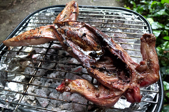 rabbitbarbecue1.jpg