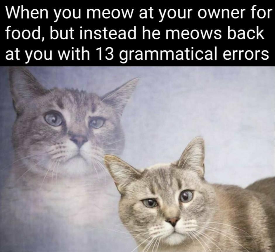 6mvtdcE.jpeg