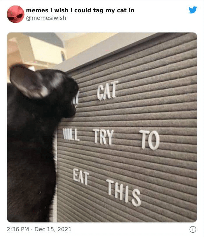 OjJWXYJ.png