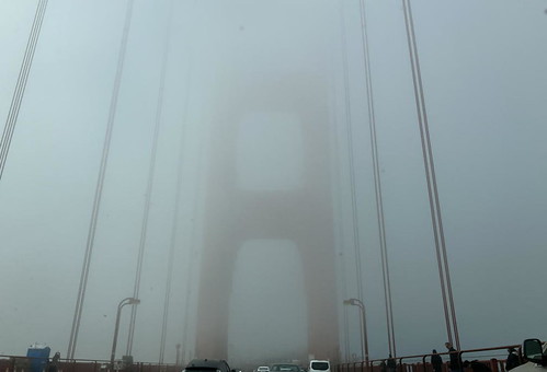 52211841198_10fb94f951.jpg