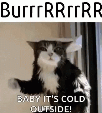 cat-bur.gif