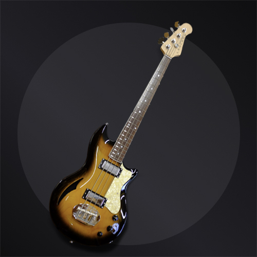 Hollowbody-30-Category-Image.jpg