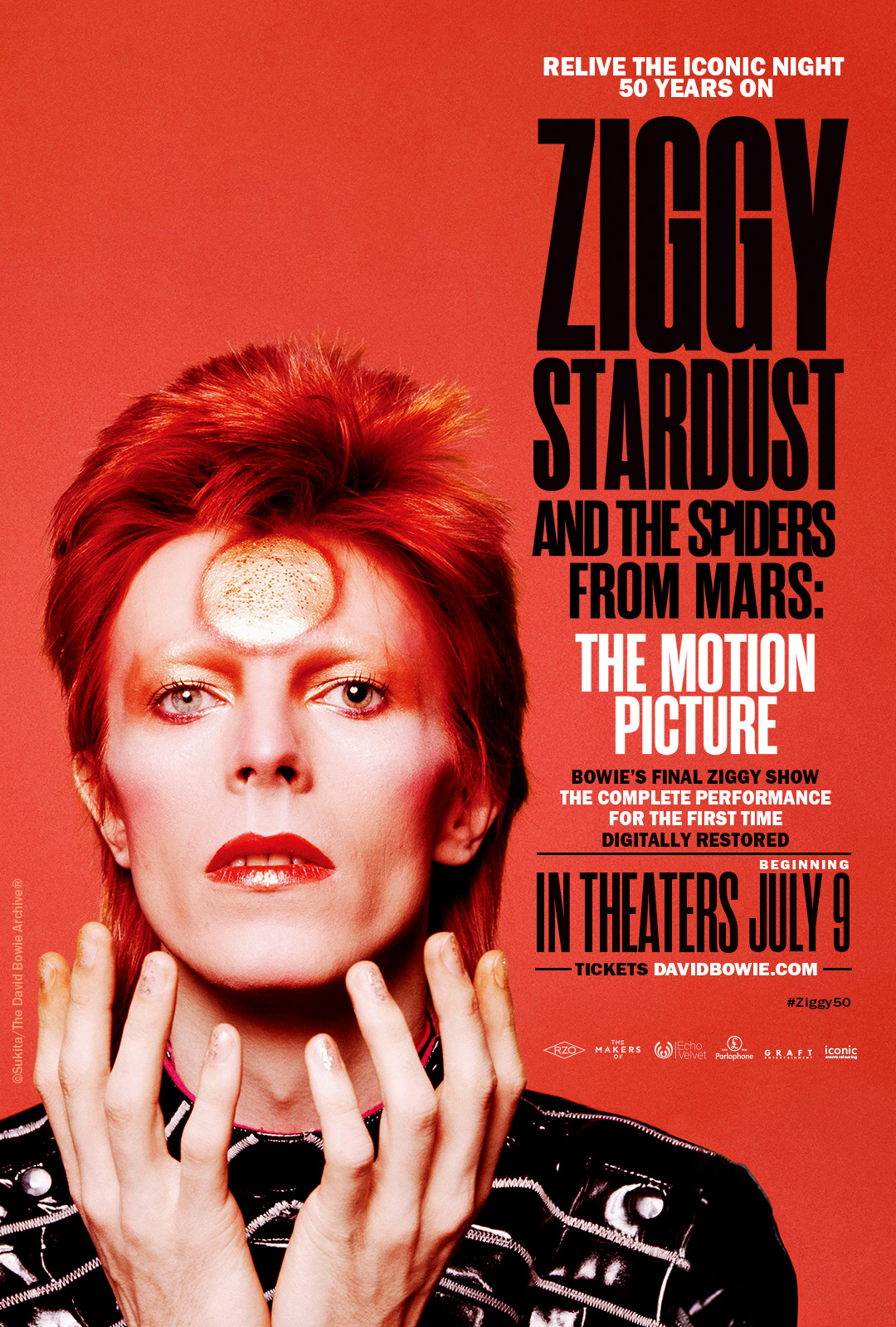ziggy_1080x1600_d.jpg