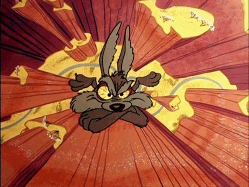 wile-e-coyote.gif