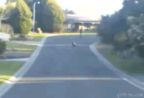 ANrt.gif
