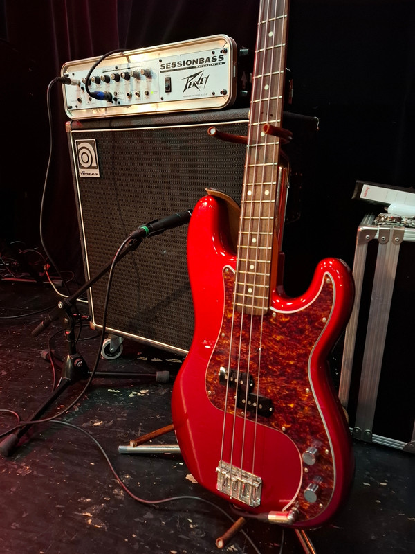 20260318-tokai-peavey-ampeg.jpg