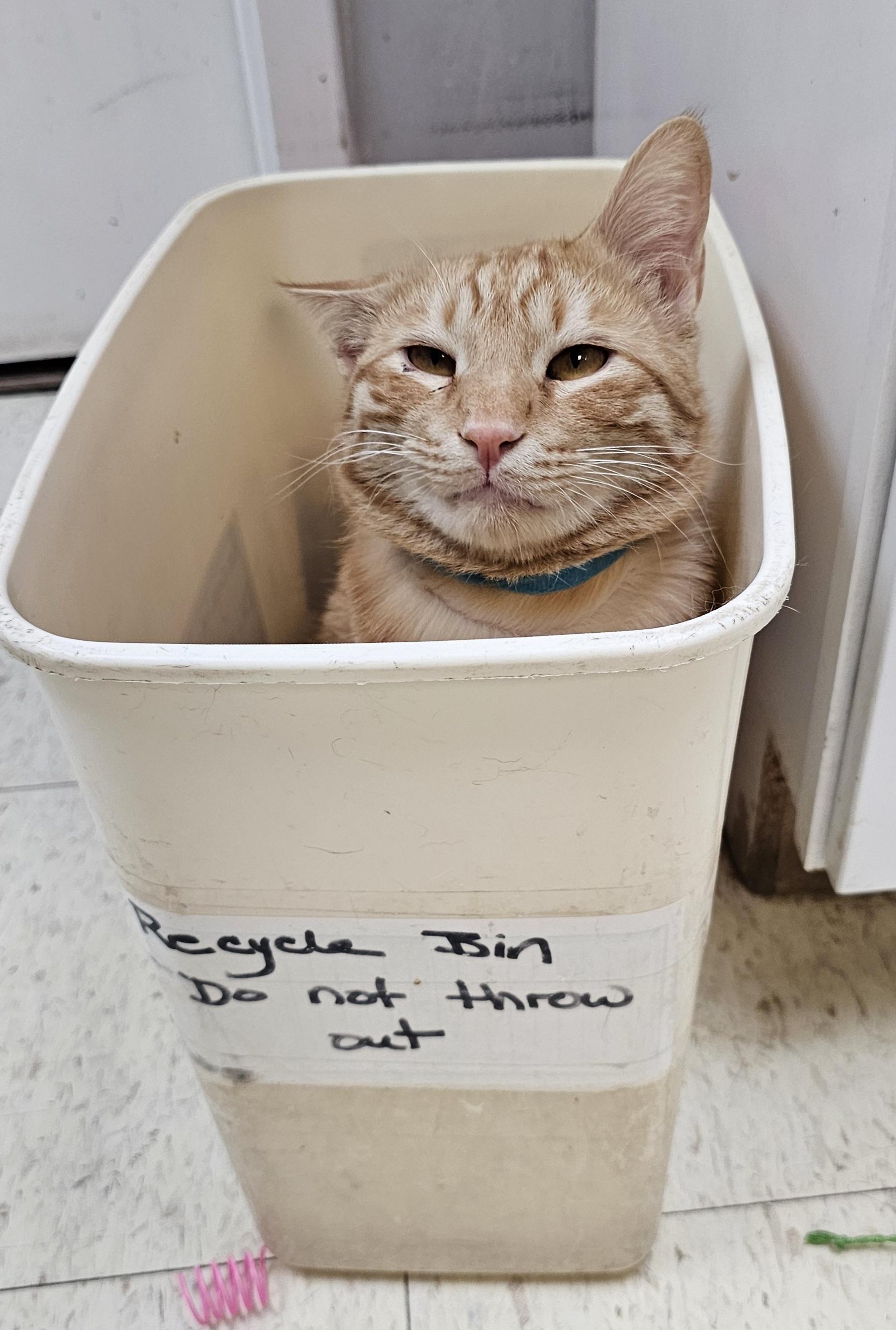 2n5sGHW.jpeg