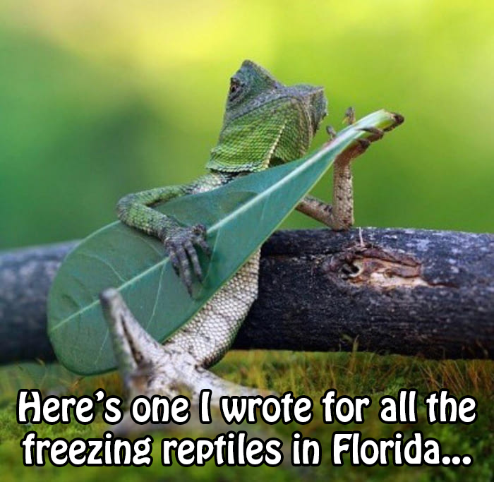 lizard-blizzard-copy.png