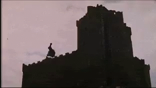 monty-python-holy-grail.gif