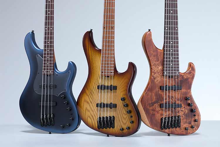www.ibanez.com