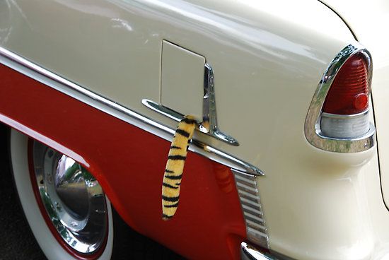 78527c985c63271886402d8c1faa4bf7.jpg