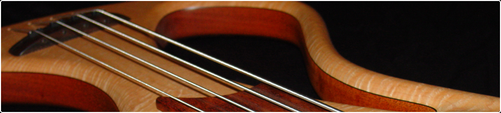 Stambaugh_fretless.jpg