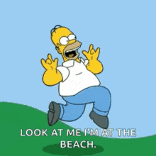 the-simpsons-homer-simpson.gif