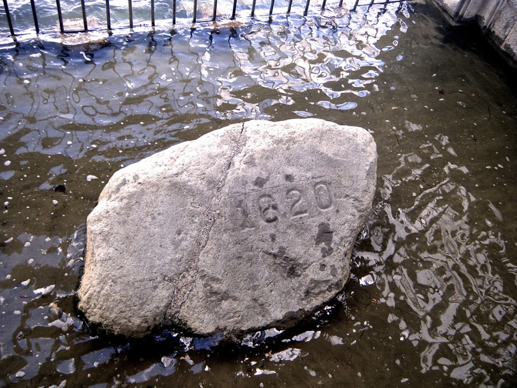 plymouth-rock-2h3fxr7.jpg