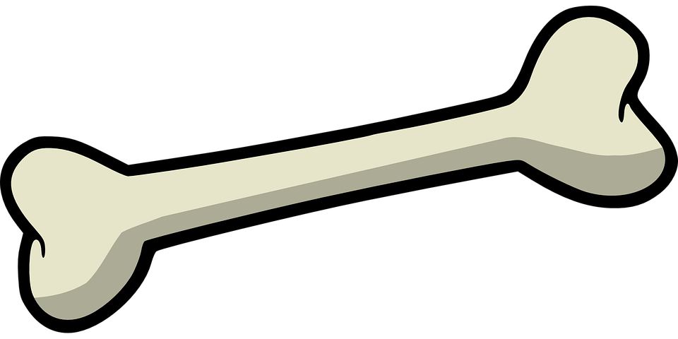 bone-157272_960_720.png