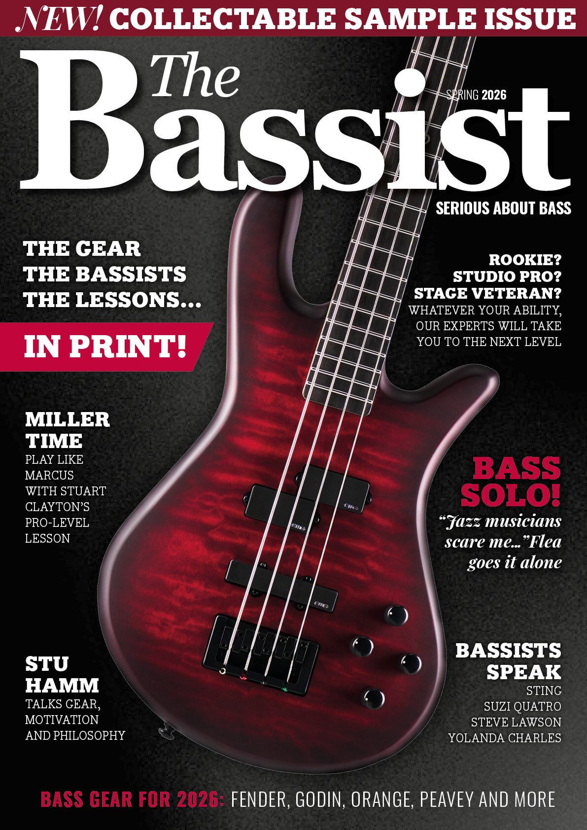 www.basschat.co.uk
