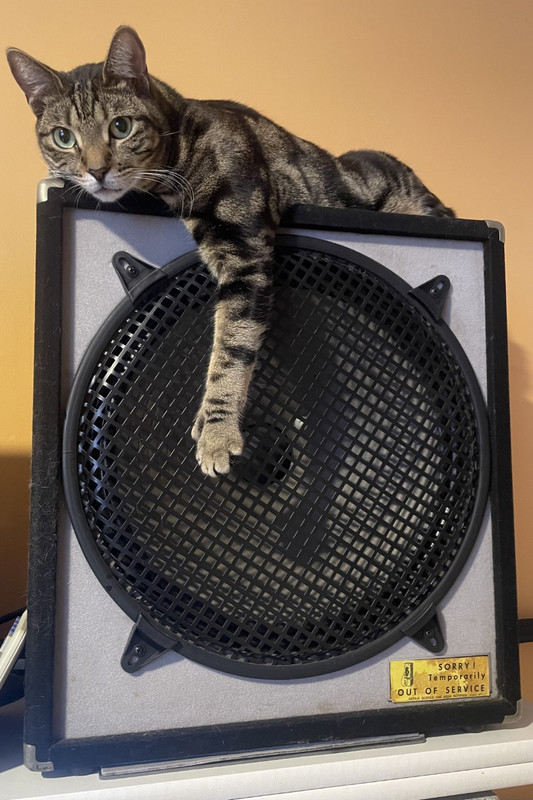 Sid-on-amp.jpg