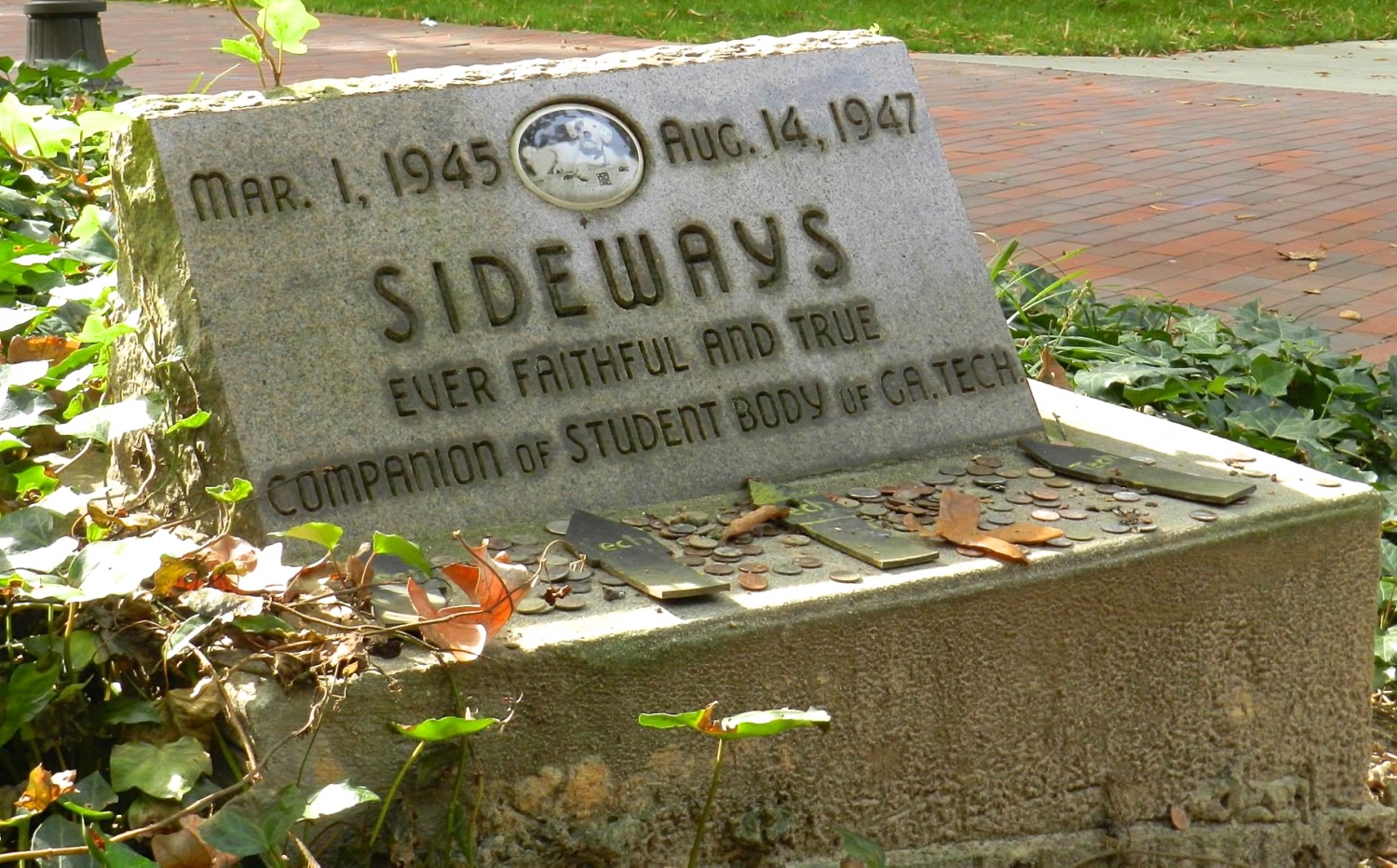 sideways_grave.jpg
