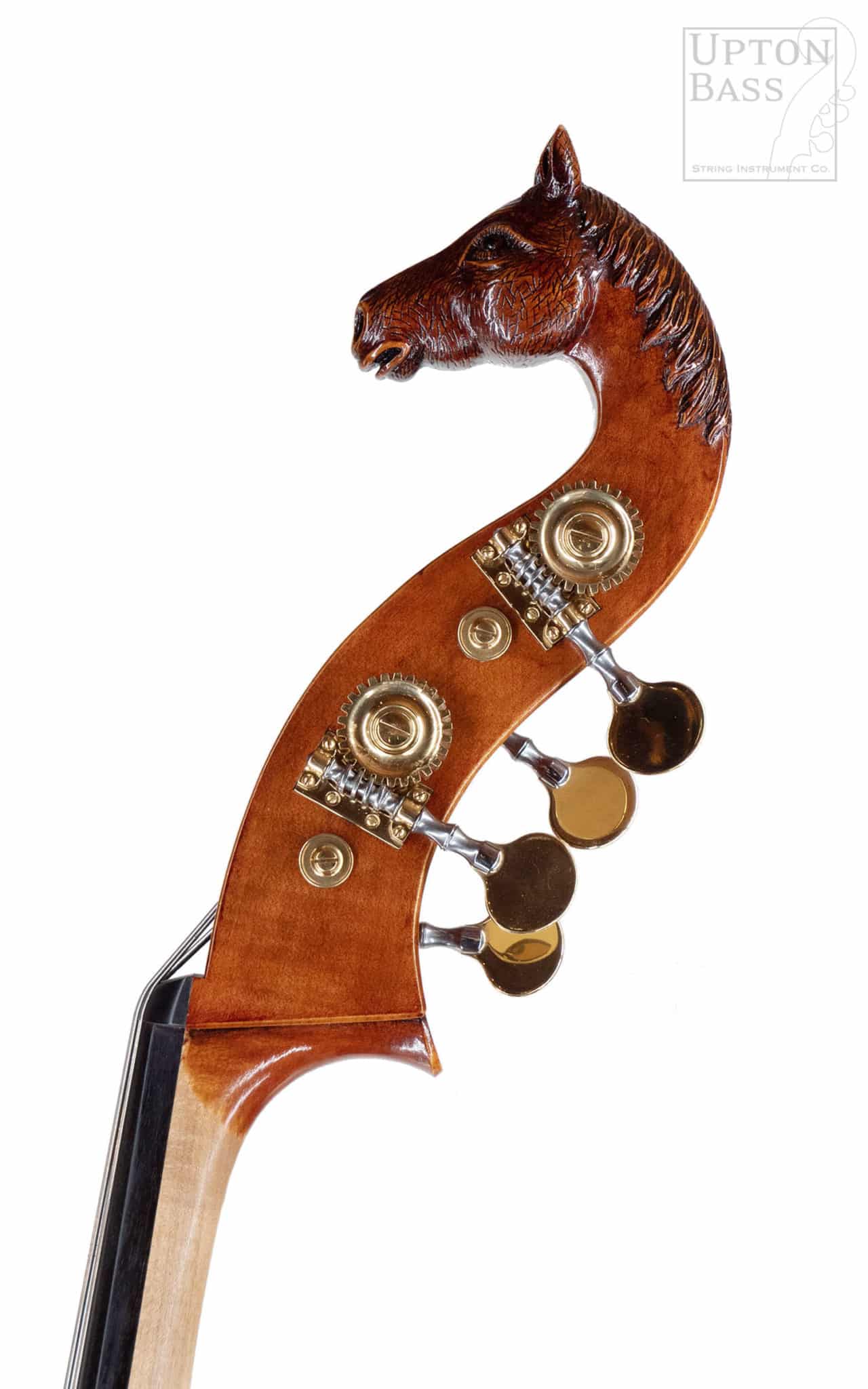Edward_Maday_double_bass_10-scaled.jpeg