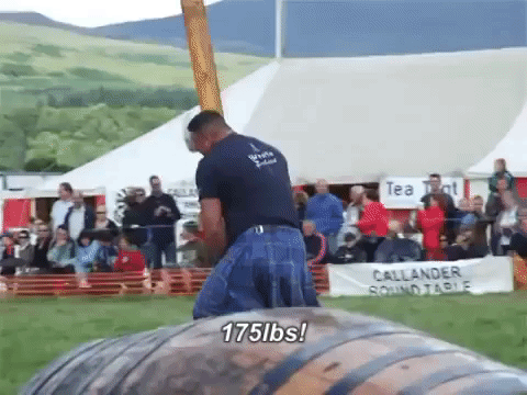 giphy.gif