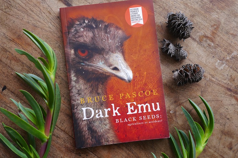 dark-emu-303.jpg