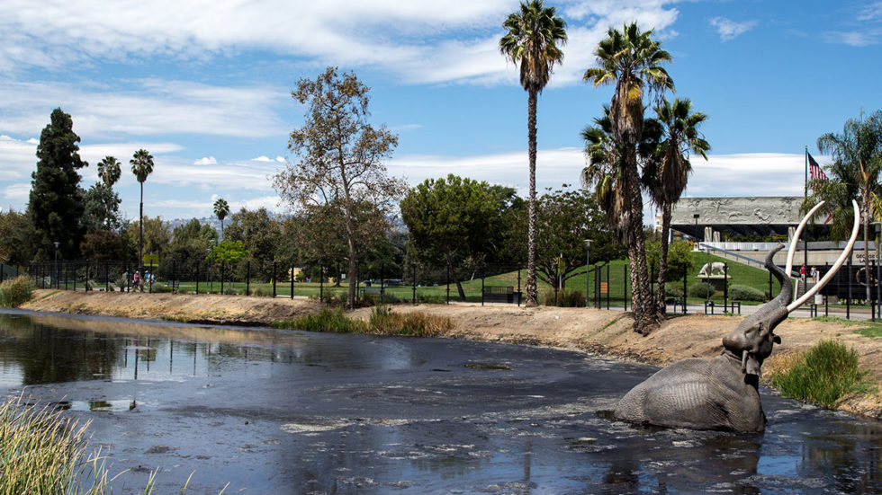 La-Brea-Tar-Pits-2-980x551.jpg