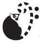 lemurmusic.com