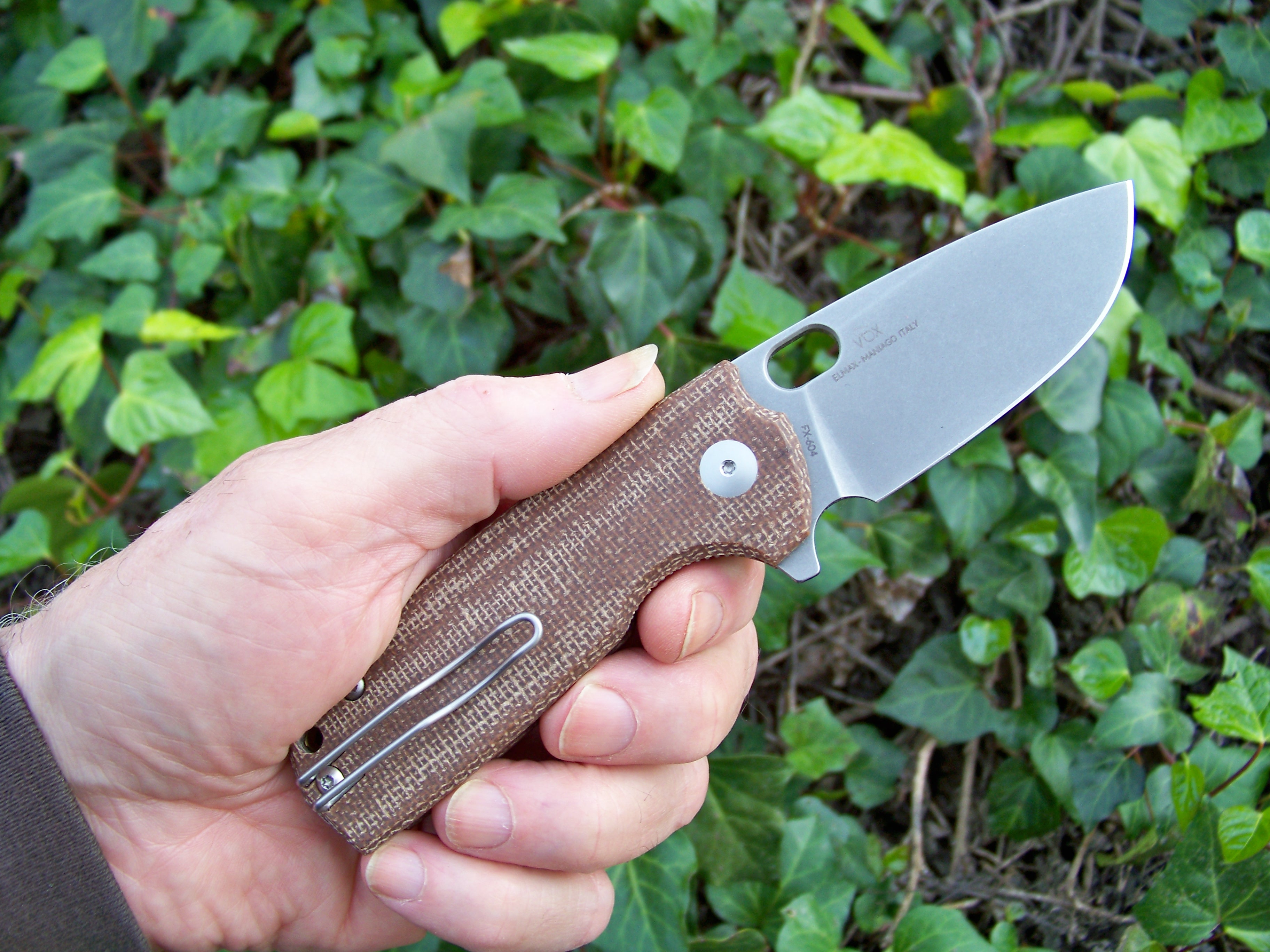 asG156G.jpg