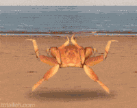 d486dc85ab255467aa76e90be868b1de_w200.gif