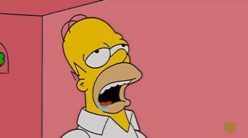 homer-homer-simpson.gif