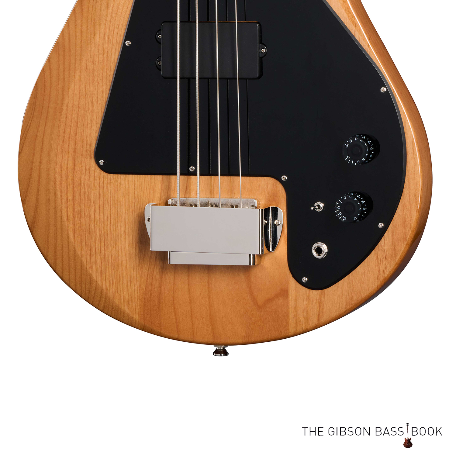 epiphone-grabber-2024-controls.jpg
