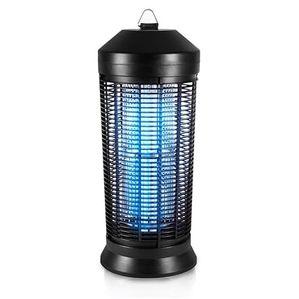 61i9cKo7x2L._SX425_.jpg