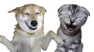 da2ee00d5de25945fb67f9c34175960a.gif