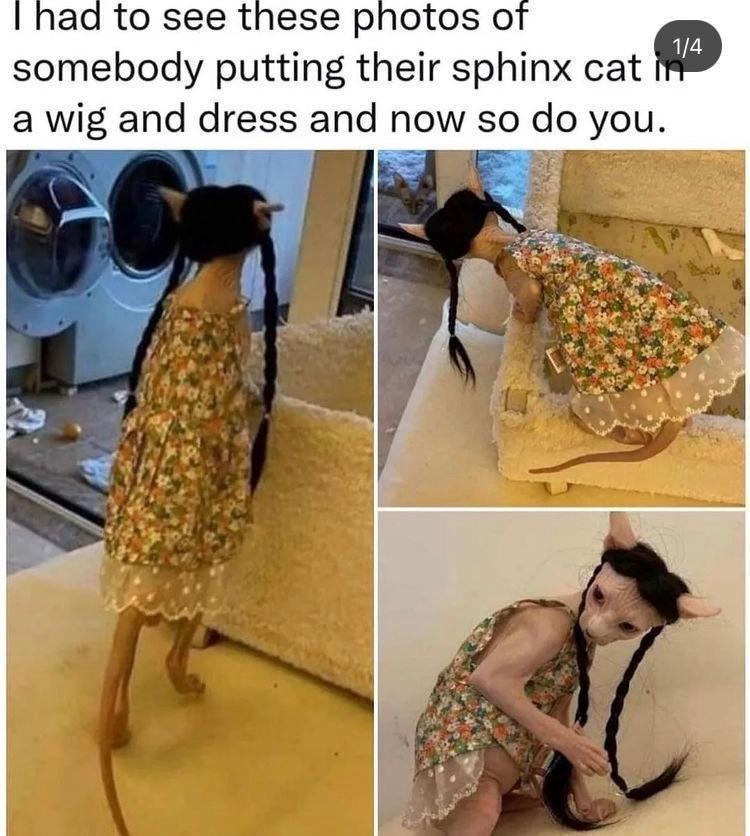 REjt95Y.jpeg