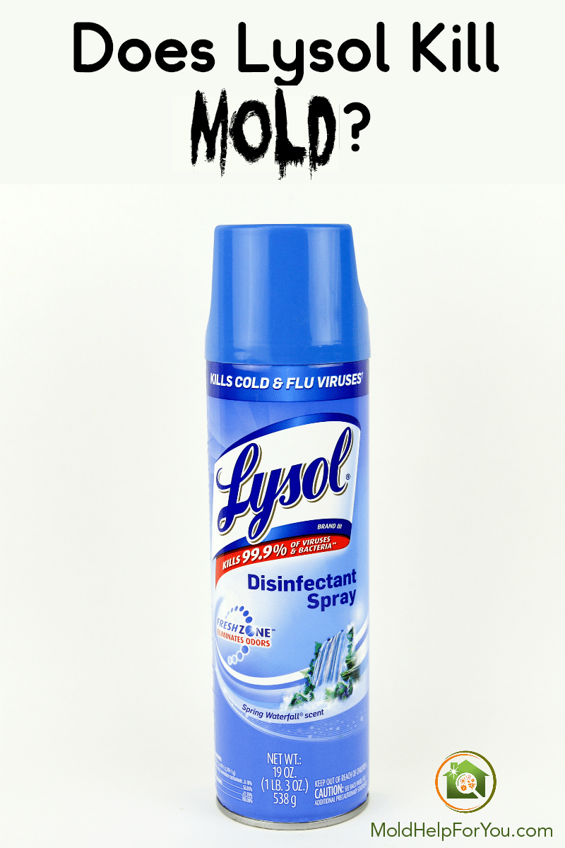 does-lysol-kill-mold.png