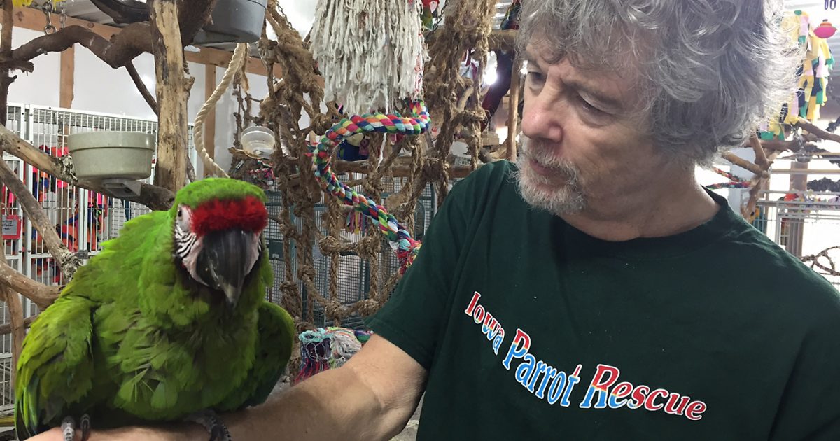 Iowa-Parrot-Rescue-1200x630.jpg